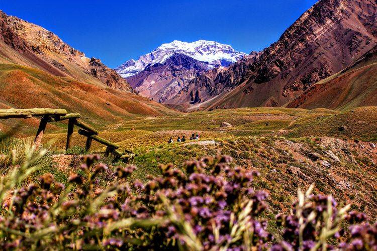 Afbeelding voor bestemming: Mendoza