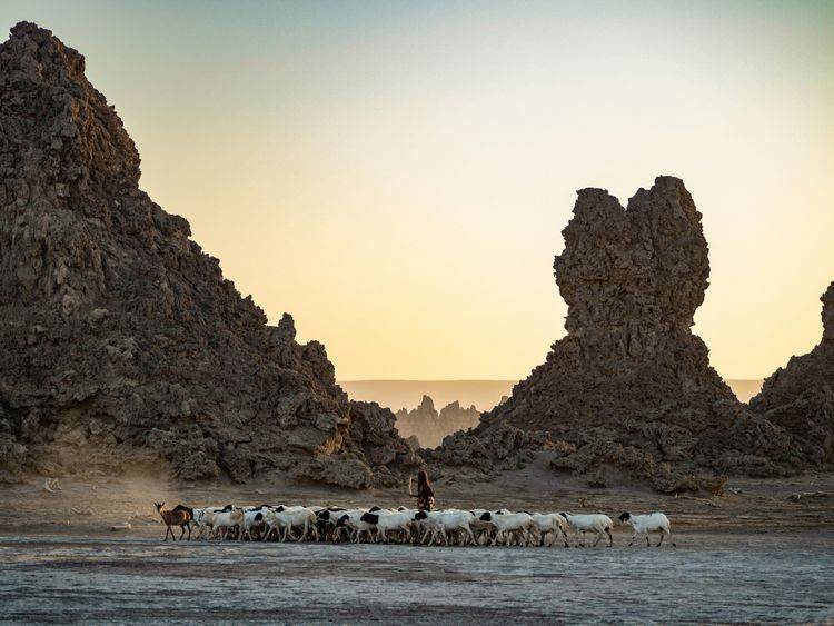Afbeelding voor bestemming: Djibouti