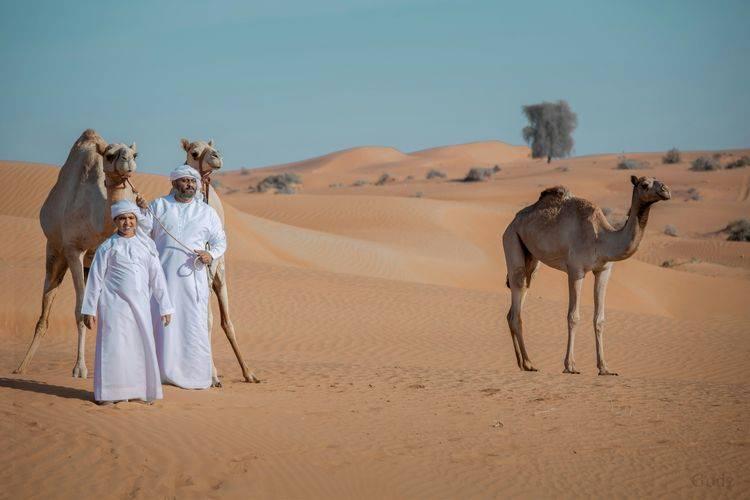 Afbeelding voor bestemming: Ras al-Khaimah