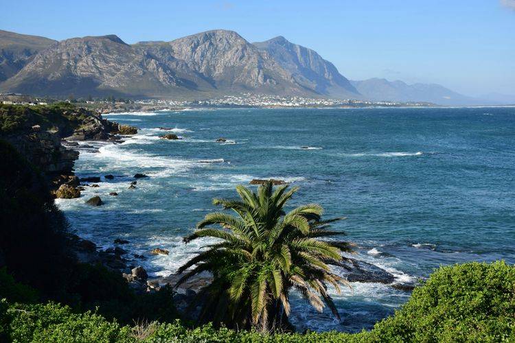 Afbeelding voor bestemming: Zuid-Afrika