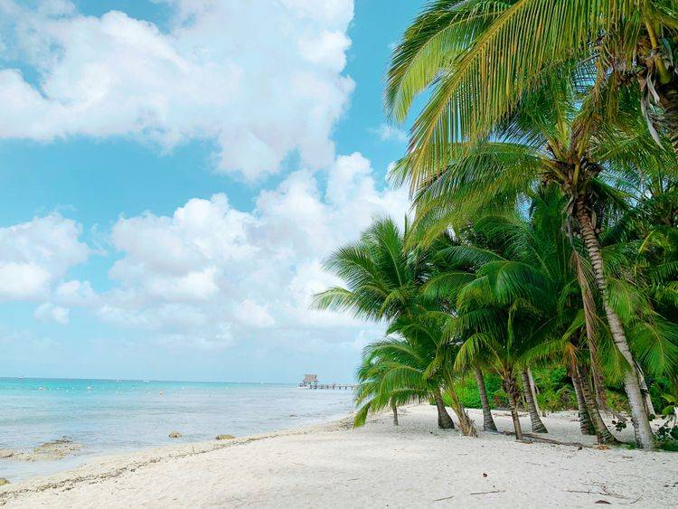 Afbeelding voor bestemming: Sunny Beach